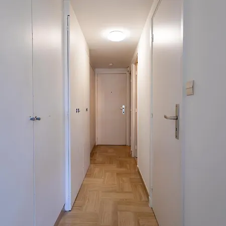 Gray D'albion Bra507 Κάννες