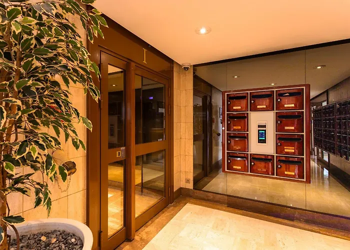 Gray D'albion Bra507 كان