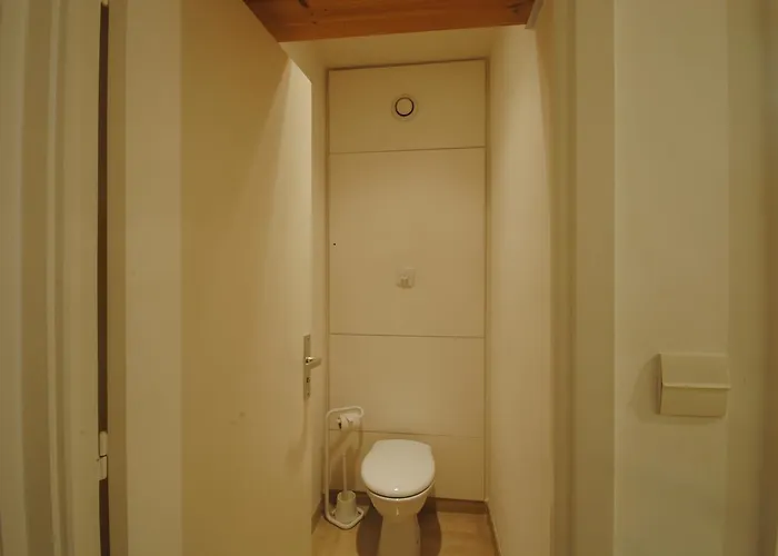 Gray D'albion Bra507 * Cannes