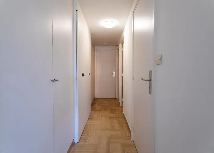 Gray D'albion Bra507 Cannes